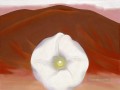 赤い丘と白い花 ジョージア・オキーフ アメリカのモダニズム 精密主義